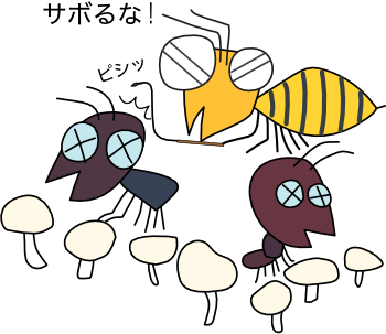 �����Ǔ����ǂȂ��킪���炵�y�ɂȂ炴��