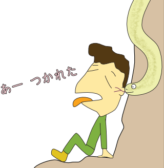 ���Α���̉e